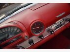 Thumbnail Photo 55 for 1955 Ford Thunderbird